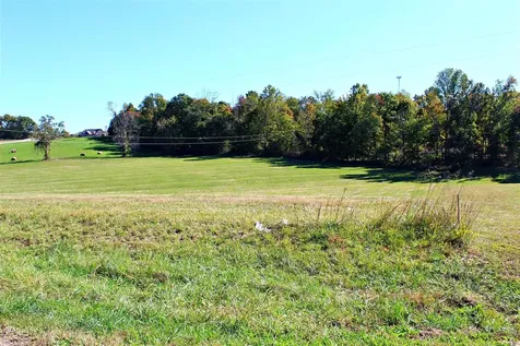 Lot 6 Meador Port Oliver Road Scottsville KY 42164