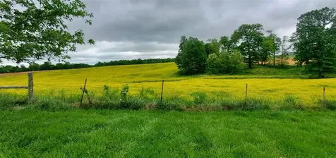 2694 Boiling Springs Road Bowling Green KY 42101