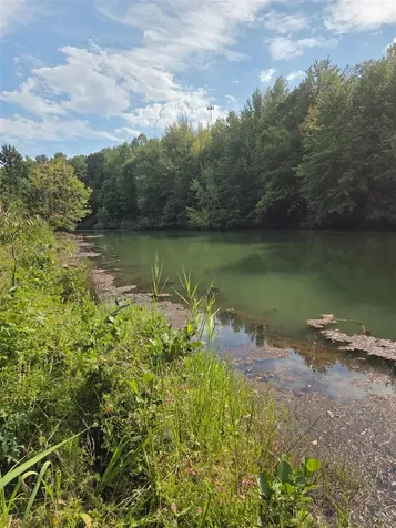 0 Segers Road Central City KY 42330