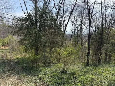132 Rays Branch Road Bowling Green KY 42101
