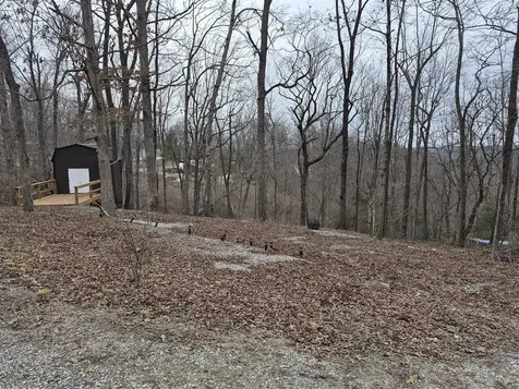 144 Briarwood Drive Mammoth Cave KY 42259