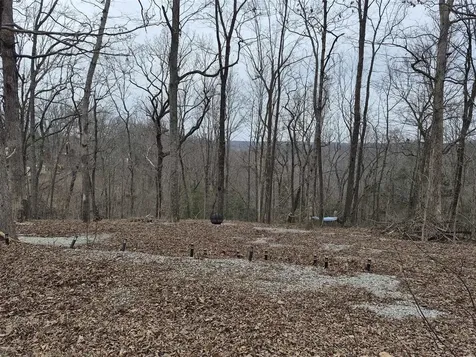 144 Briarwood Drive Mammoth Cave KY 42259