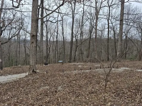 144 Briarwood Drive Mammoth Cave KY 42259
