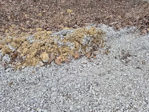 144 Briarwood Drive Mammoth Cave KY 42259