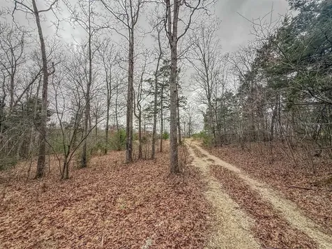 7942 Priceville Road Munfordville KY 42722