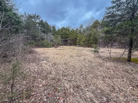 7942 Priceville Road Munfordville KY 42722