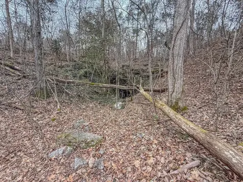7942 Priceville Road Munfordville KY 42722