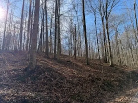2791 Region Road Roundhill KY 42275