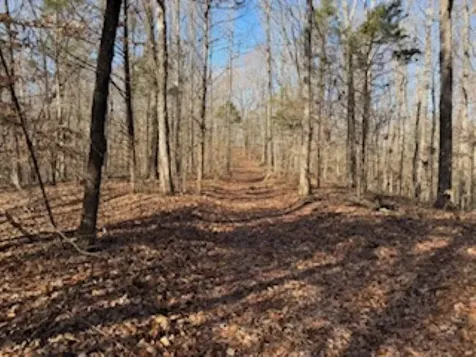 2791 Region Road Roundhill KY 42275