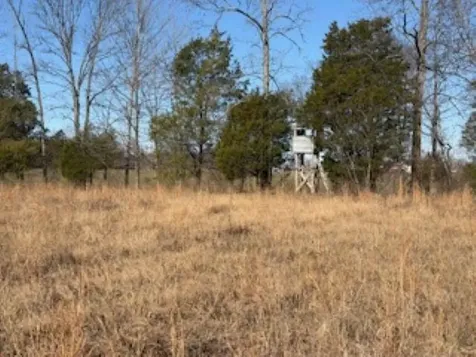 2791 Region Road Roundhill KY 42275