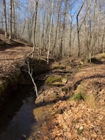 2791 Region Road Roundhill KY 42275