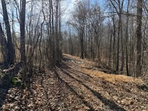 2791 Region Road Roundhill KY 42275