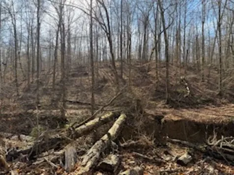 2791 Region Road Roundhill KY 42275
