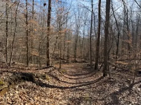 2791 Region Road Roundhill KY 42275