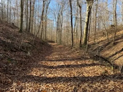 2791 Region Road Roundhill KY 42275