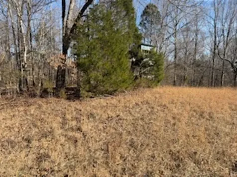 2791 Region Road Roundhill KY 42275