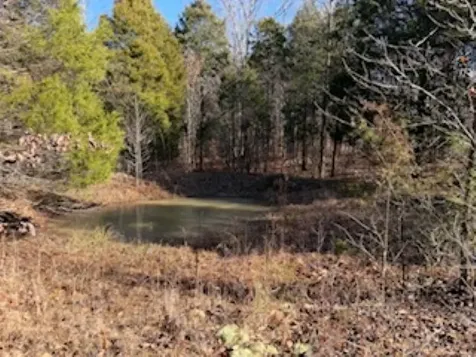 2791 Region Road Roundhill KY 42275