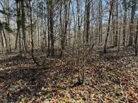 2791 Region Road Roundhill KY 42275