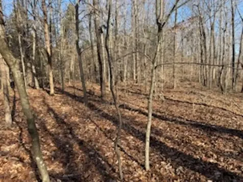 2791 Region Road Roundhill KY 42275