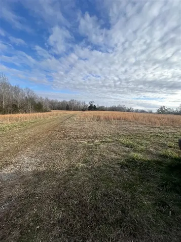 632 C W Jones Road Scottsville KY 42164