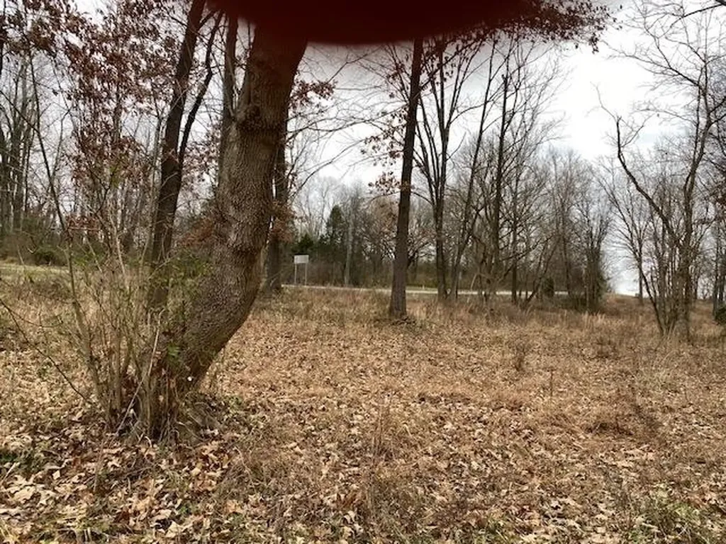 Lot 2 John Prine Avenue Drakesboro KY 42337
