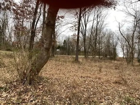 Lot 2 John Prine Avenue Drakesboro KY 42337