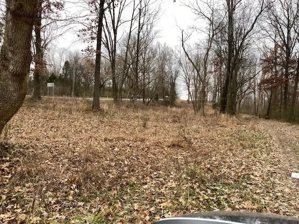 Lot 1 John Prine Avenue Drakesboro KY 42337