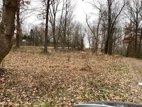 Lot 1 John Prine Avenue Drakesboro KY 42337