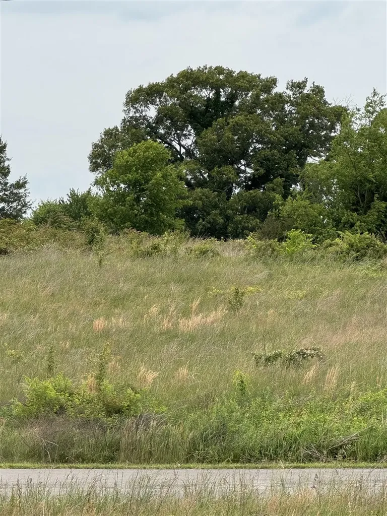 Lot 25 Laurel Way Cave City KY 42127