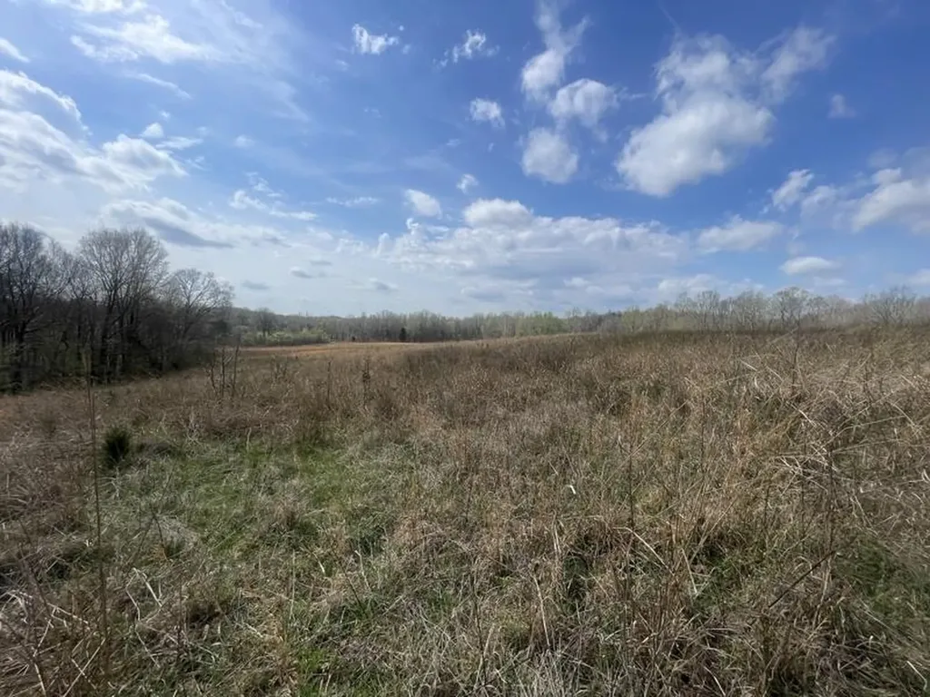 9356 Caneyville Road Morgantown KY 42261