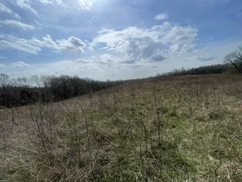 9356 Caneyville Road Morgantown KY 42261