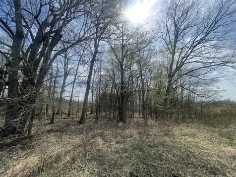 9356 Caneyville Road Morgantown KY 42261