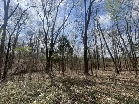 9356 Caneyville Road Morgantown KY 42261
