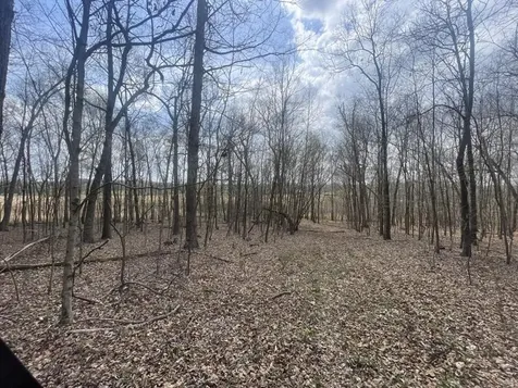 9356 Caneyville Road Morgantown KY 42261