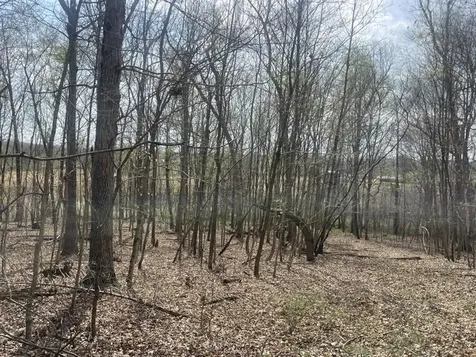 9356 Caneyville Road Morgantown KY 42261