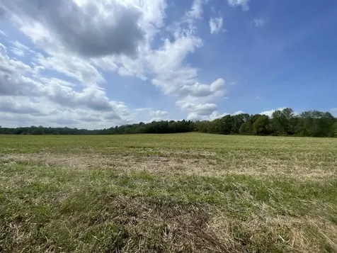 9356 Caneyville Road Morgantown KY 42261