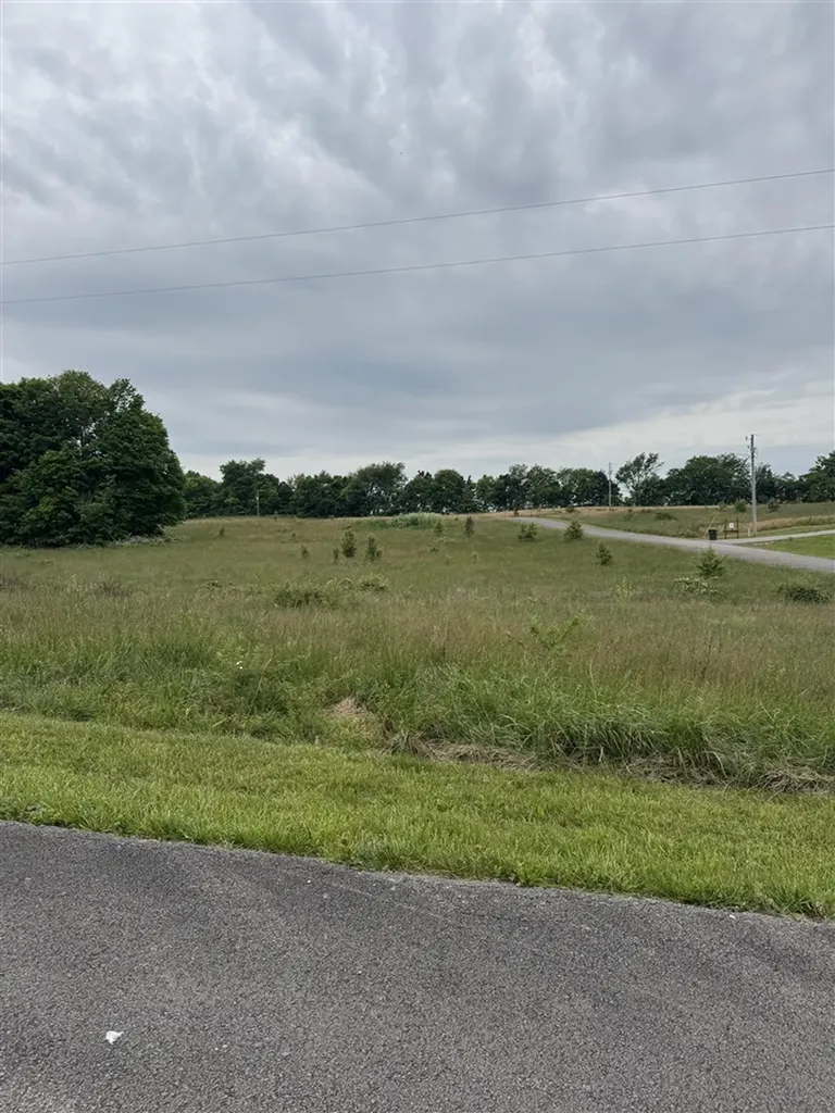 Lot 19 Laurel Way Cave City KY 42127