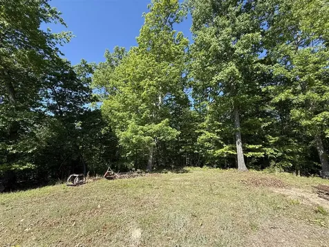 1055 Roseburg Road Cub Run KY 42729