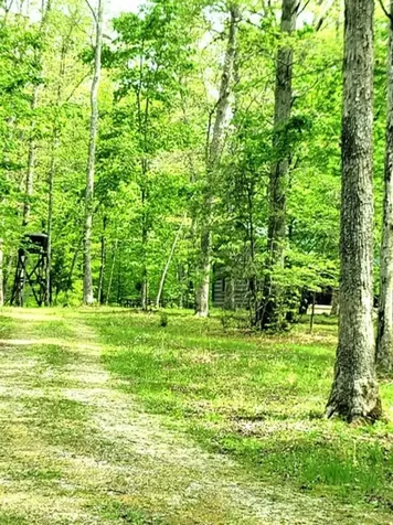 Barnes Road Bardstown KY 40004