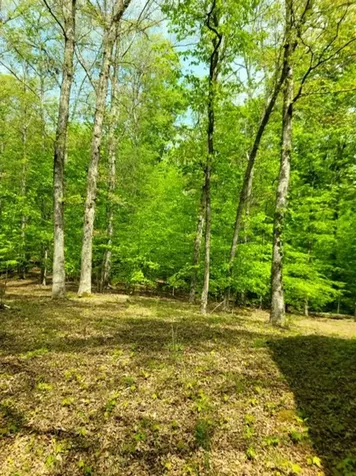 Barnes Road Bardstown KY 40004