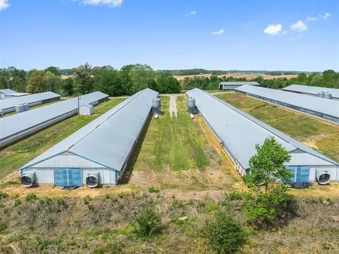 7540 W Ky-136 Calhoun KY 42327