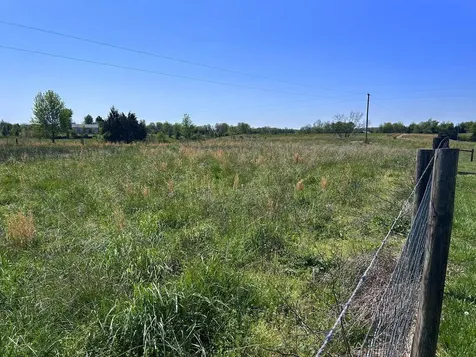 3230 Rex Road Hardyville KY 42746