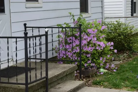3313 Allen Street Owensboro KY 42303
