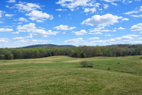 909 Angus Road Canmer KY 42722