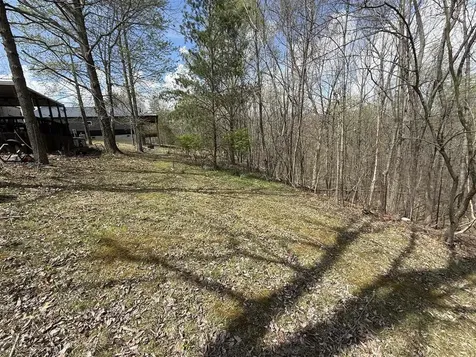 190 Tara Road Cub Run KY 42729