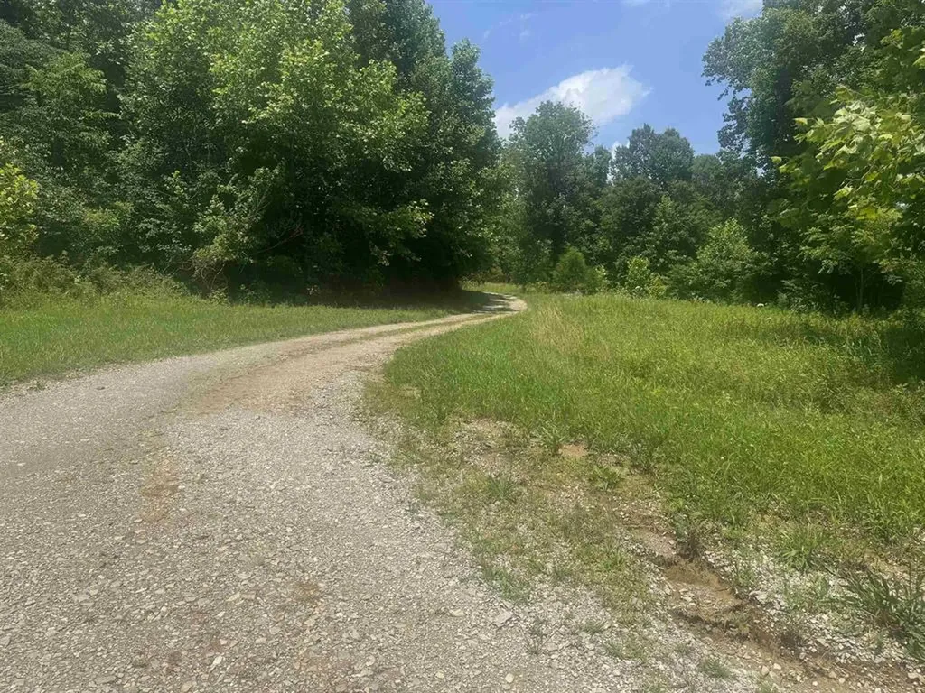 2794 Street Route 919 Fordsville KY 42343
