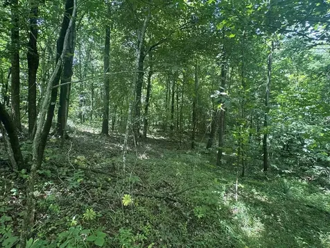 2794 Street Route 919 Fordsville KY 42343