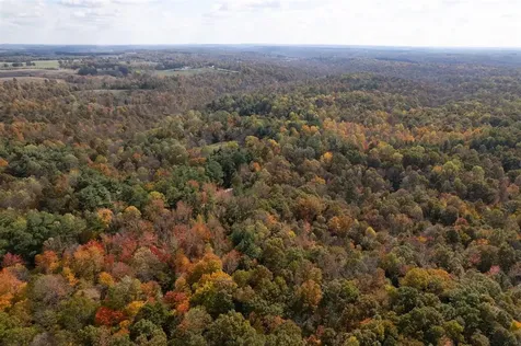 0 Askins Road Fordsville KY 42343