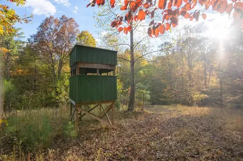 0 Askins Road Fordsville KY 42343