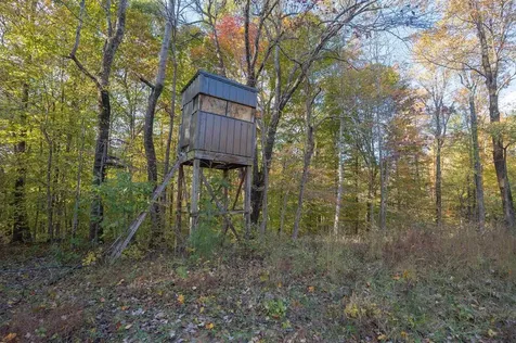 0 Askins Road Fordsville KY 42343